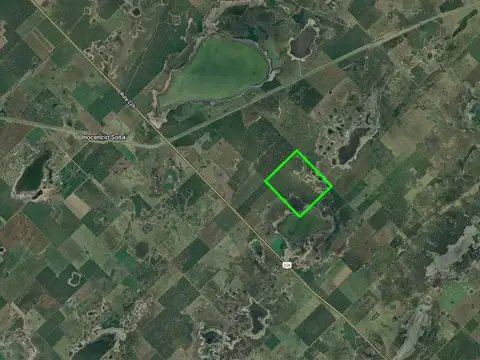 CAMPO DE 255 HAS. EN VENTA EN PEHUAJÓ